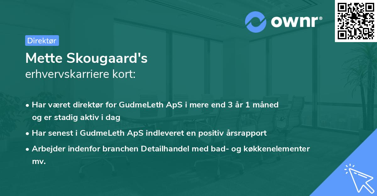 Mette Skougaard's erhvervskarriere kort