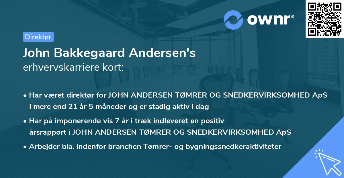 John Bakkegaard Andersen's erhvervskarriere kort