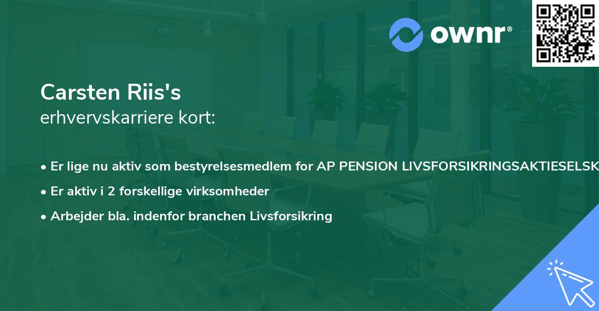 Carsten Riis's erhvervskarriere kort