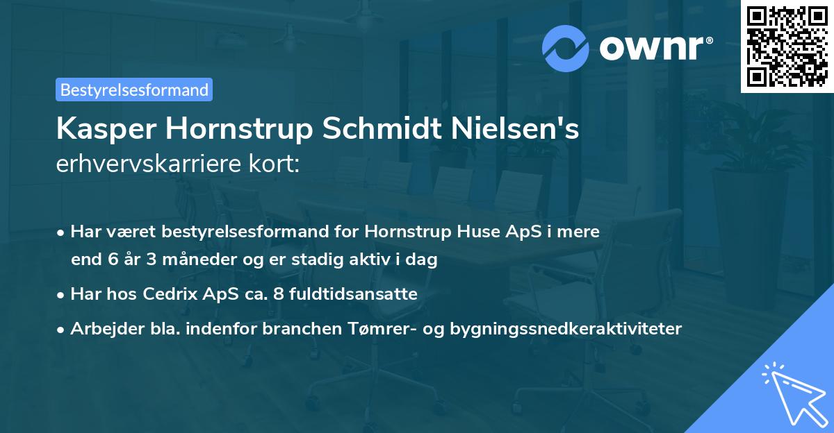 Kasper Hornstrup Schmidt Nielsen's erhvervskarriere kort