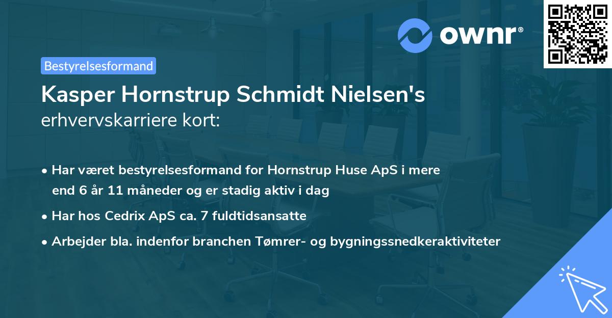 Kasper Hornstrup Schmidt Nielsen's erhvervskarriere kort