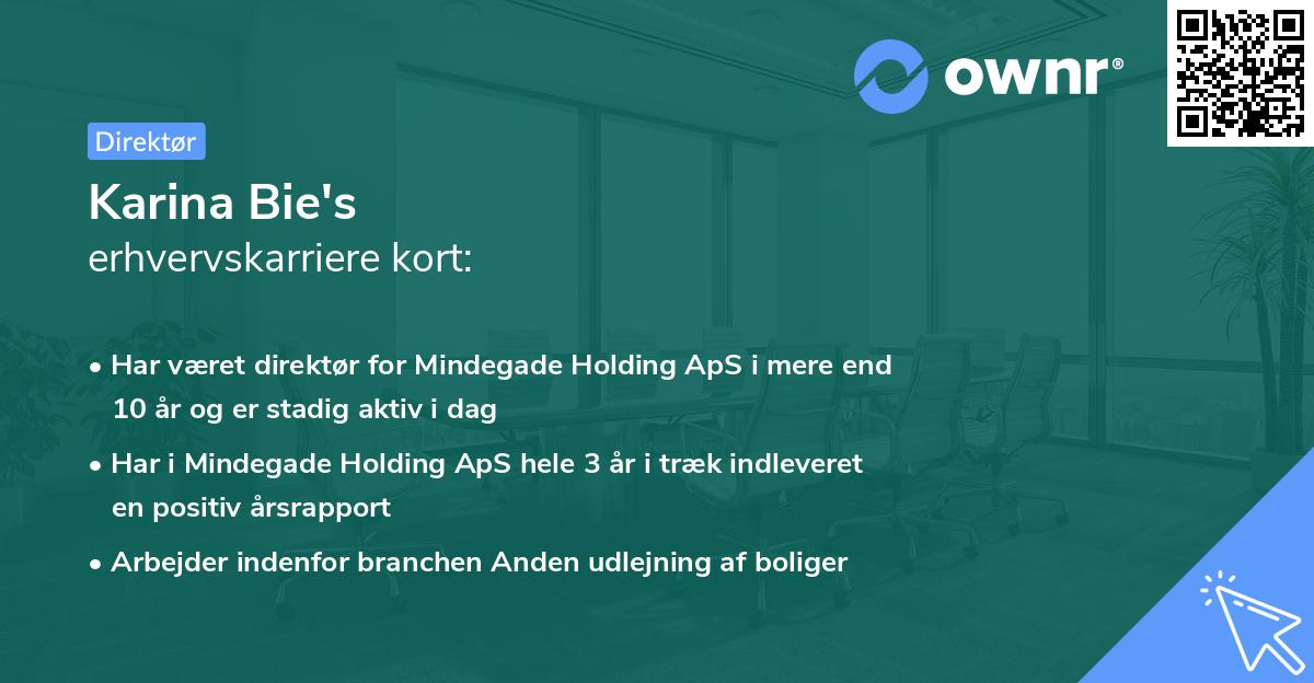 Karina Bie's erhvervskarriere kort