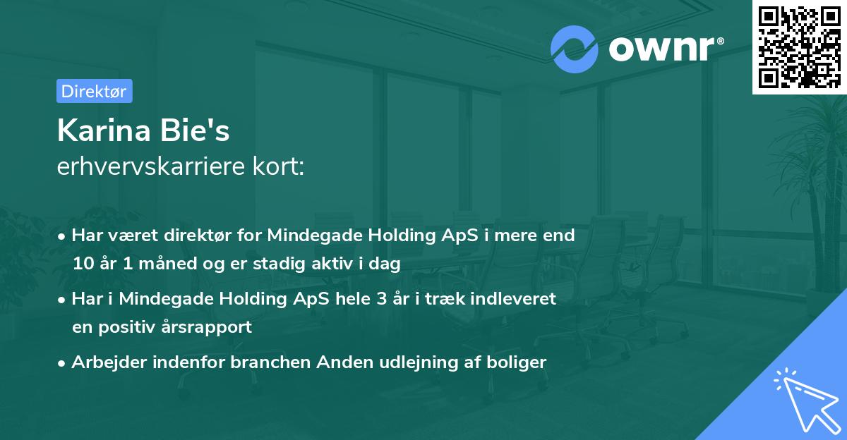 Karina Bie's erhvervskarriere kort