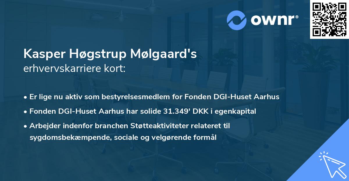 Kasper Høgstrup Mølgaard's erhvervskarriere kort