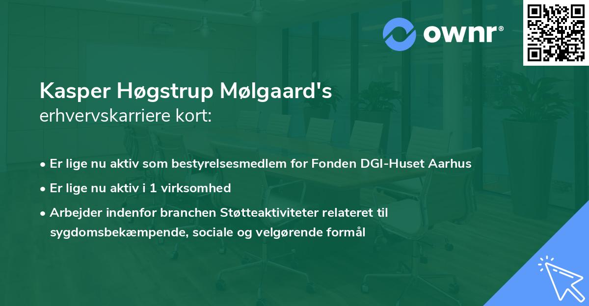 Kasper Høgstrup Mølgaard's erhvervskarriere kort