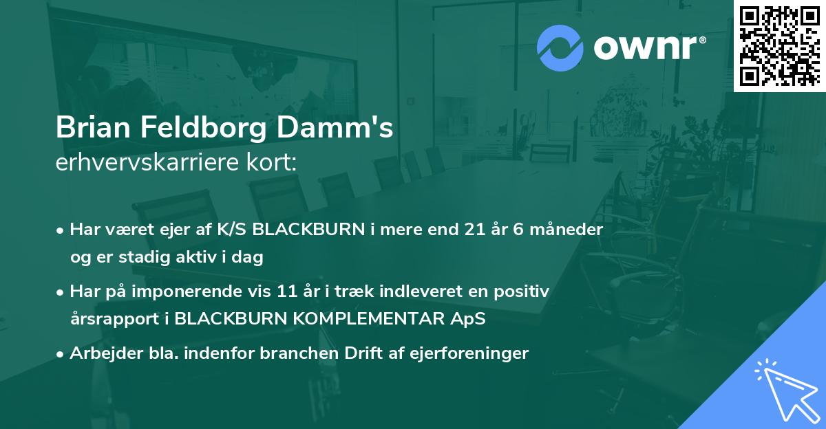 Brian Feldborg Damm's erhvervskarriere kort