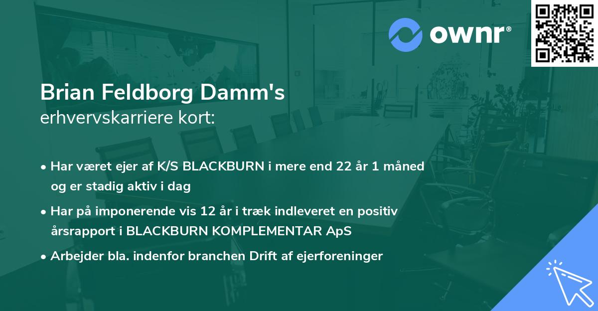 Brian Feldborg Damm's erhvervskarriere kort