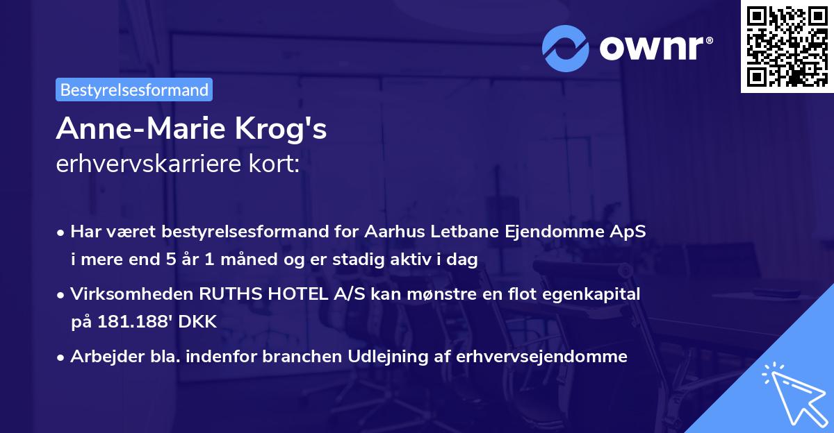 Anne-Marie Krog's erhvervskarriere kort