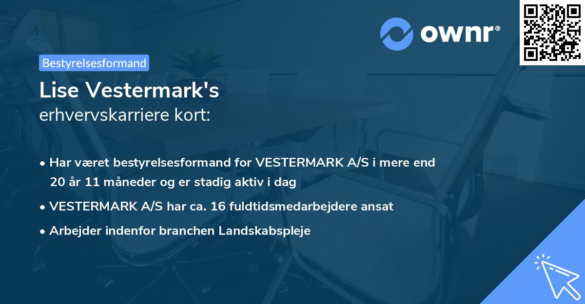 Lise Vestermark's erhvervskarriere kort