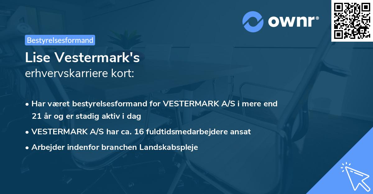 Lise Vestermark's erhvervskarriere kort