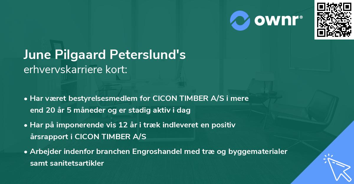 June Pilgaard Peterslund's erhvervskarriere kort
