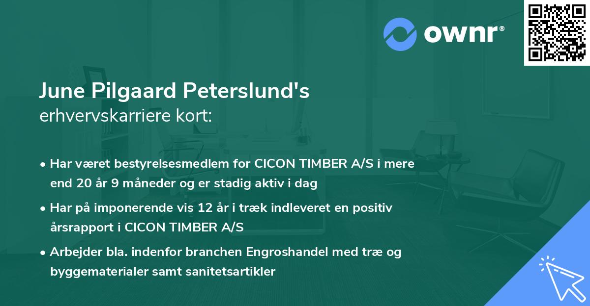 June Pilgaard Peterslund's erhvervskarriere kort