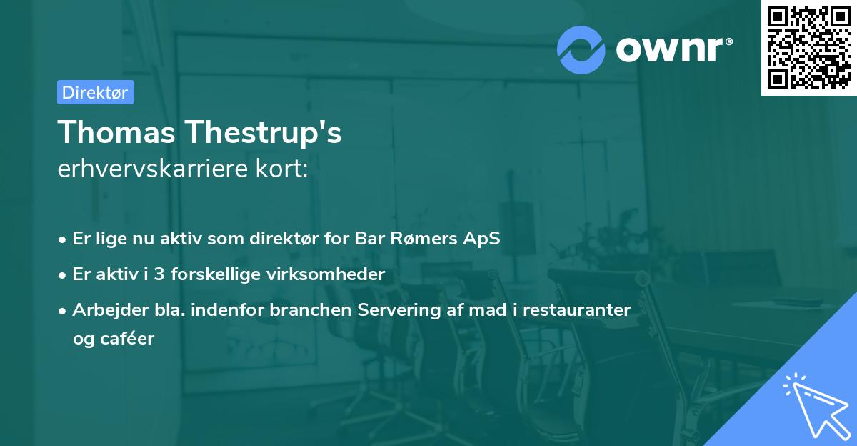 Thomas Thestrup's erhvervskarriere kort