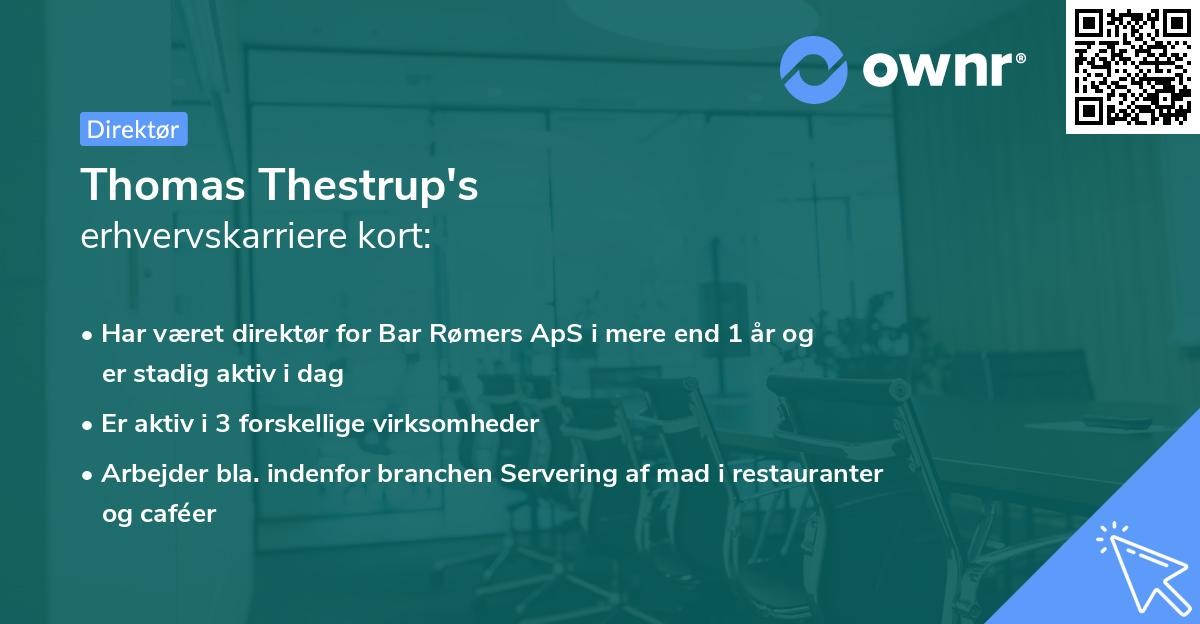 Thomas Thestrup's erhvervskarriere kort