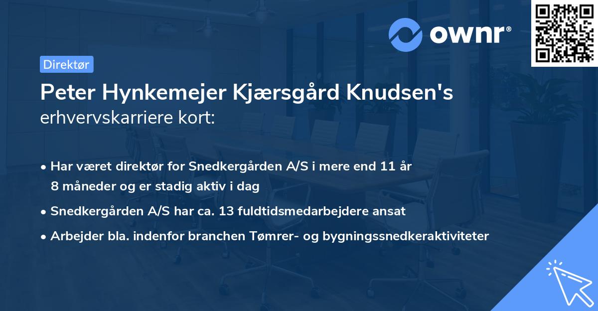 Peter Hynkemejer Kjærsgård Knudsen's erhvervskarriere kort
