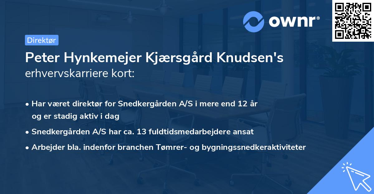 Peter Hynkemejer Kjærsgård Knudsen's erhvervskarriere kort
