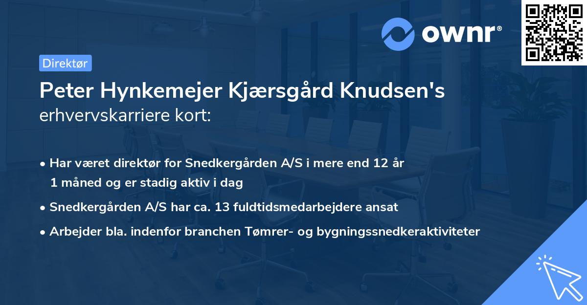 Peter Hynkemejer Kjærsgård Knudsen's erhvervskarriere kort