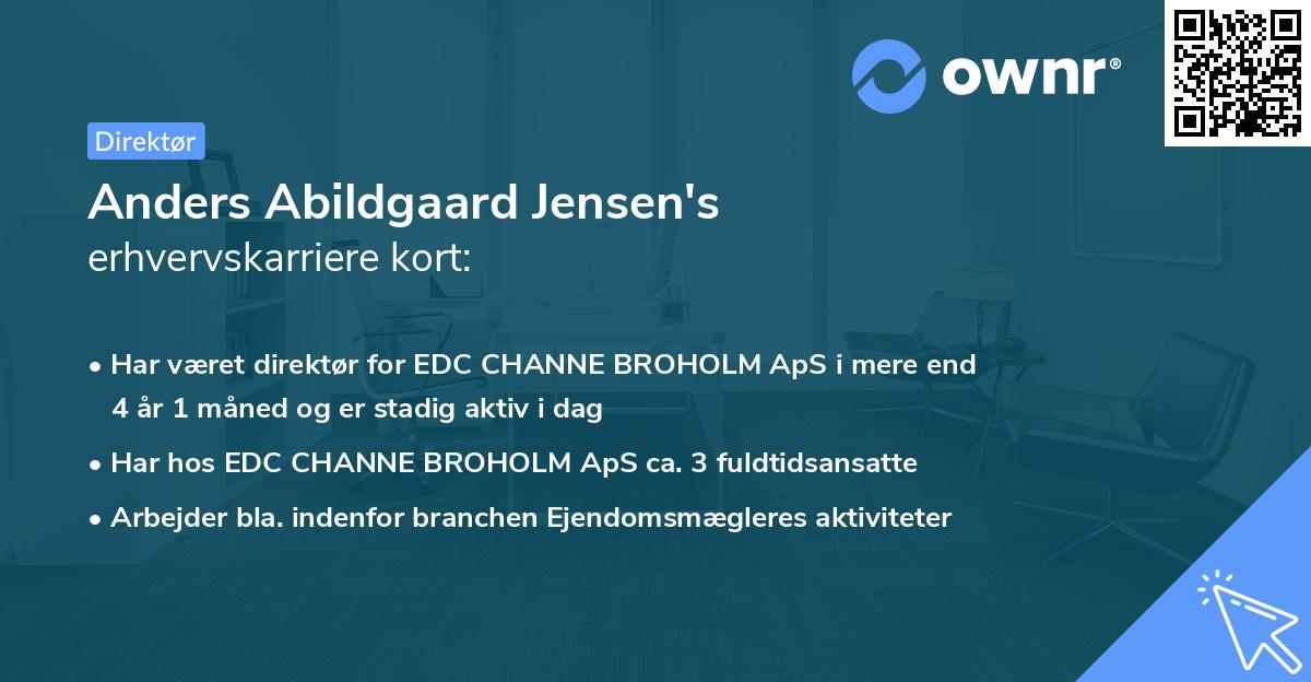 Anders Abildgaard Jensen's erhvervskarriere kort