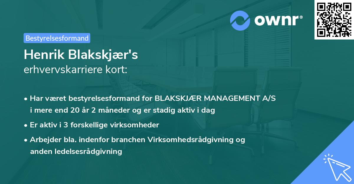 Henrik Blakskjær's erhvervskarriere kort