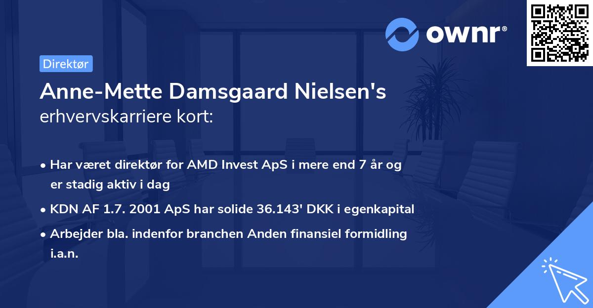 Anne-Mette Damsgaard Nielsen's erhvervskarriere kort