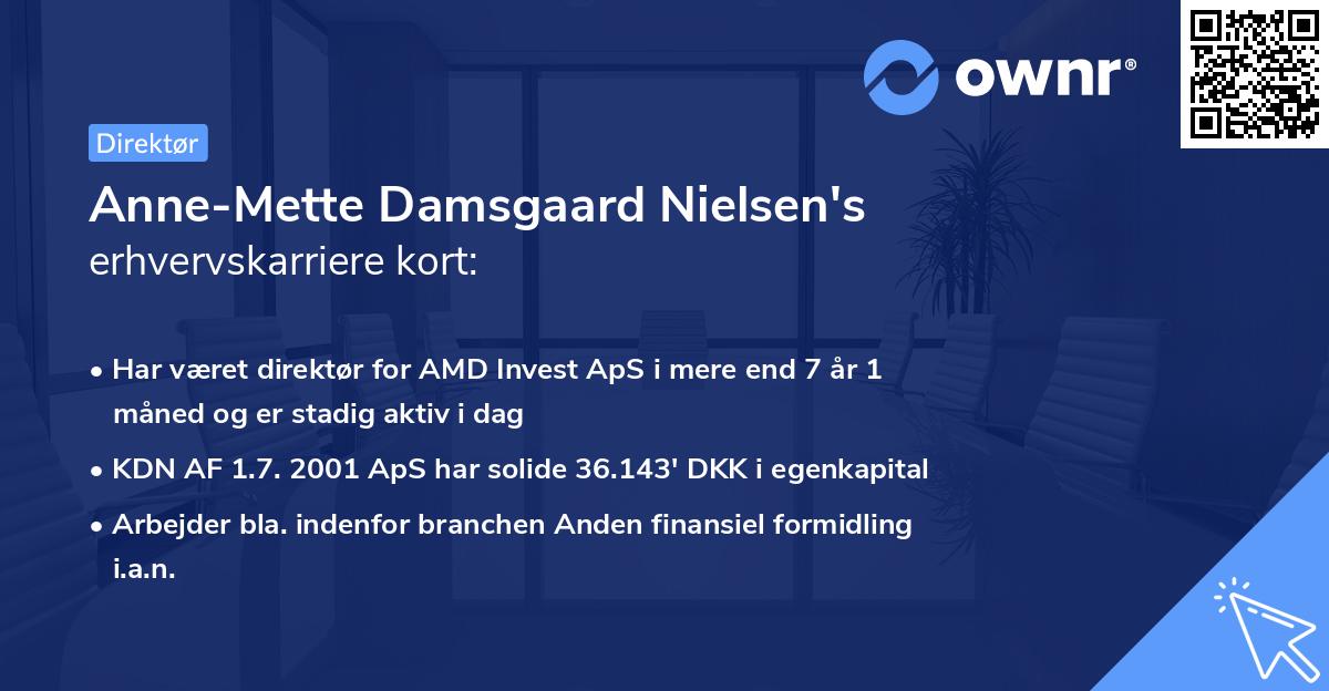 Anne-Mette Damsgaard Nielsen's erhvervskarriere kort