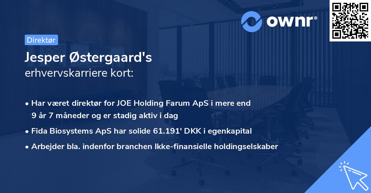 Jesper Østergaard's erhvervskarriere kort