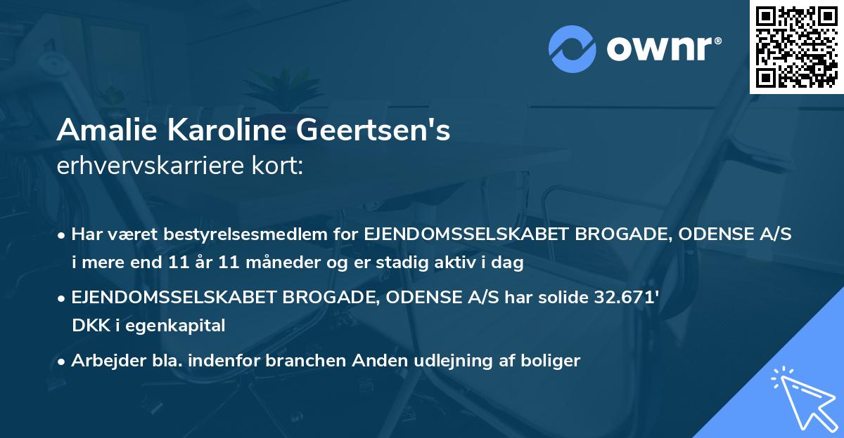 Amalie Karoline Geertsen's erhvervskarriere kort