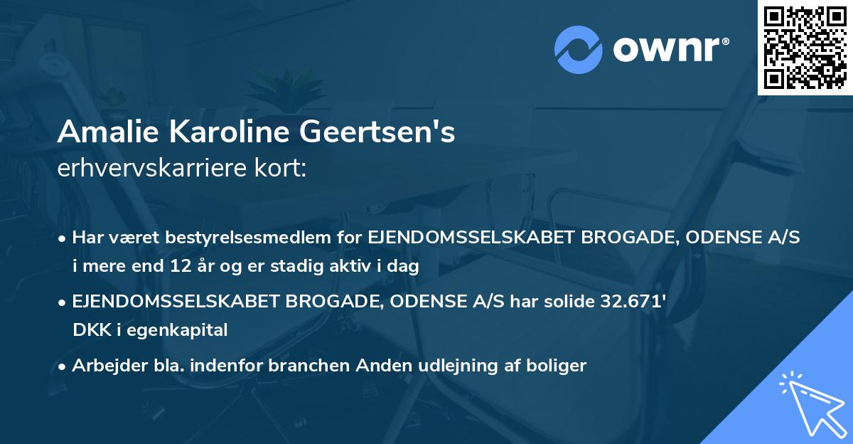 Amalie Karoline Geertsen's erhvervskarriere kort