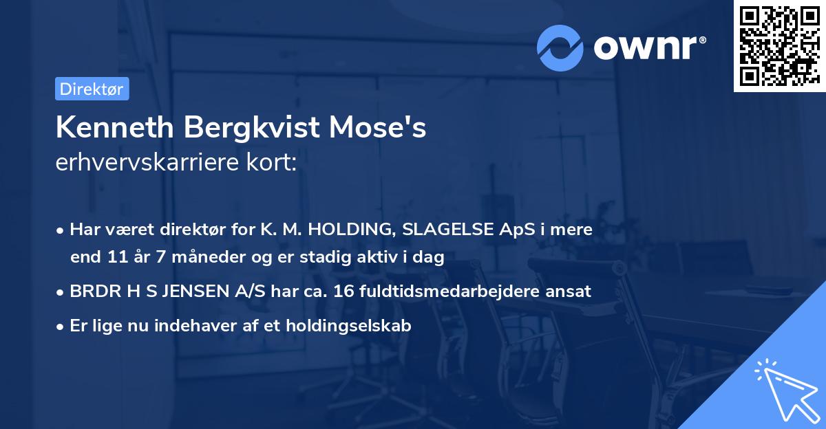 Kenneth Bergkvist Mose's erhvervskarriere kort