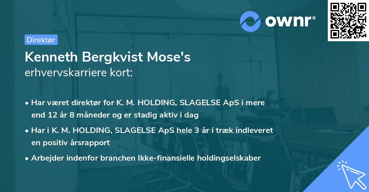 Kenneth Bergkvist Mose's erhvervskarriere kort