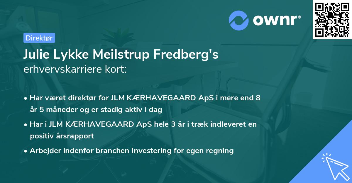 Julie Lykke Meilstrup Fredberg's erhvervskarriere kort