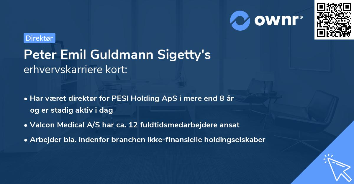 Peter Emil Guldmann Sigetty's erhvervskarriere kort