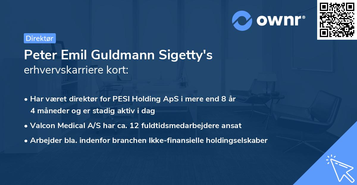 Peter Emil Guldmann Sigetty's erhvervskarriere kort
