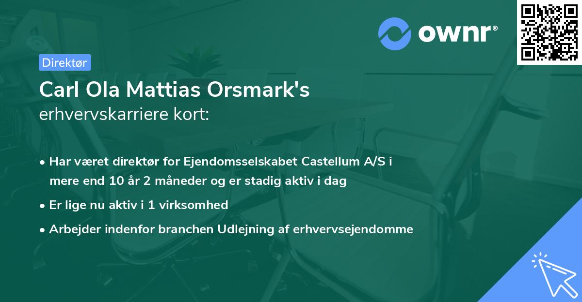 Carl Ola Mattias Orsmark's erhvervskarriere kort