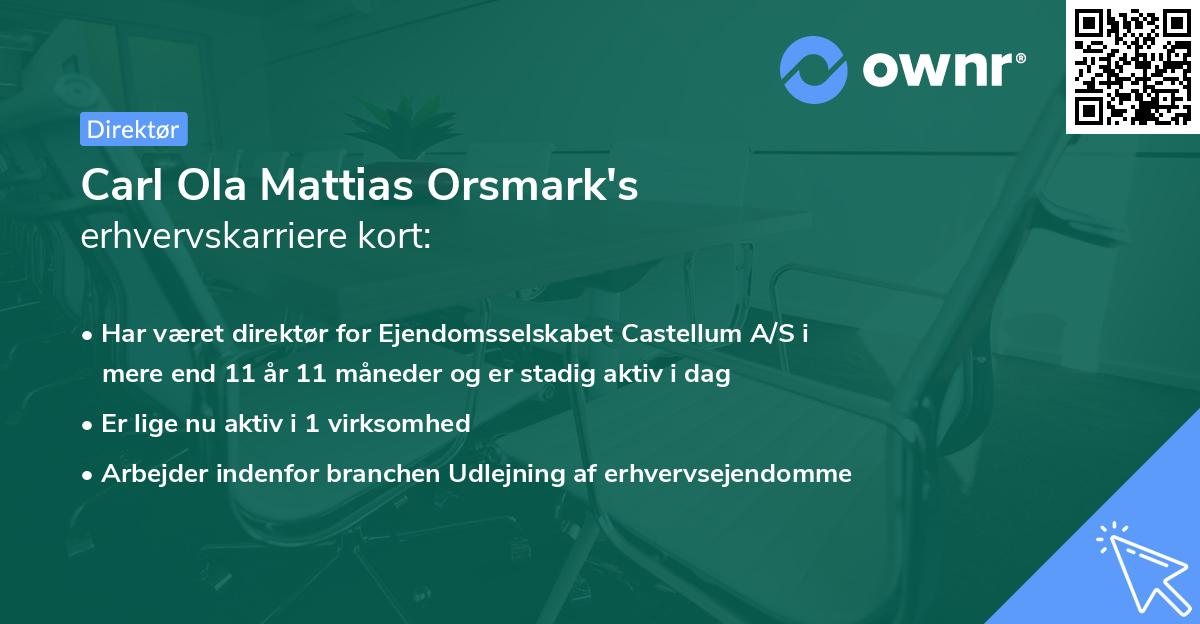 Carl Ola Mattias Orsmark's erhvervskarriere kort
