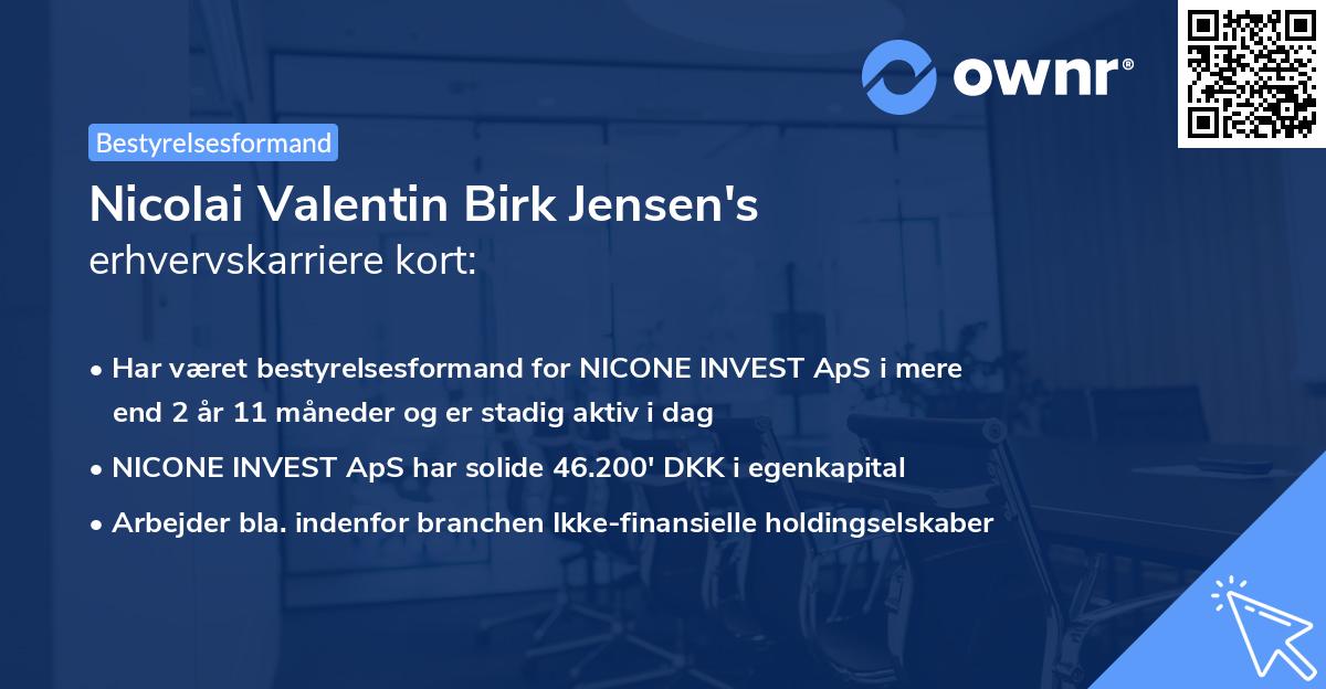 Nicolai Valentin Birk Jensen's erhvervskarriere kort