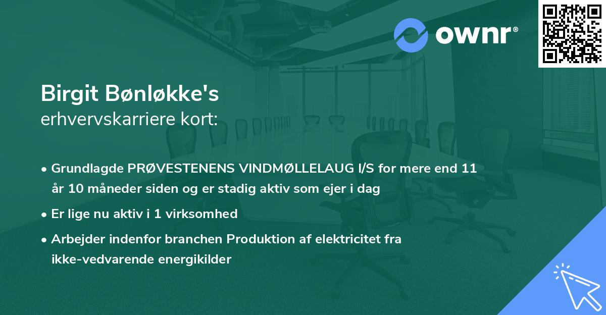 Birgit Bønløkke's erhvervskarriere kort