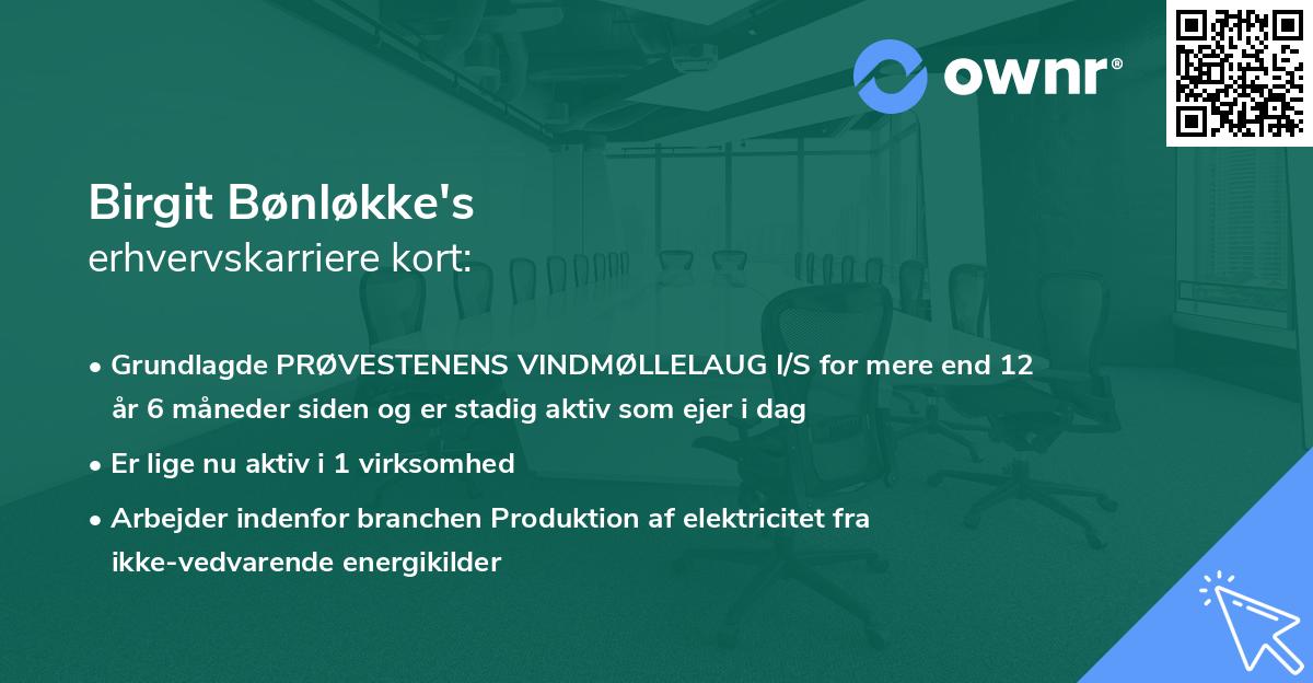 Birgit Bønløkke's erhvervskarriere kort