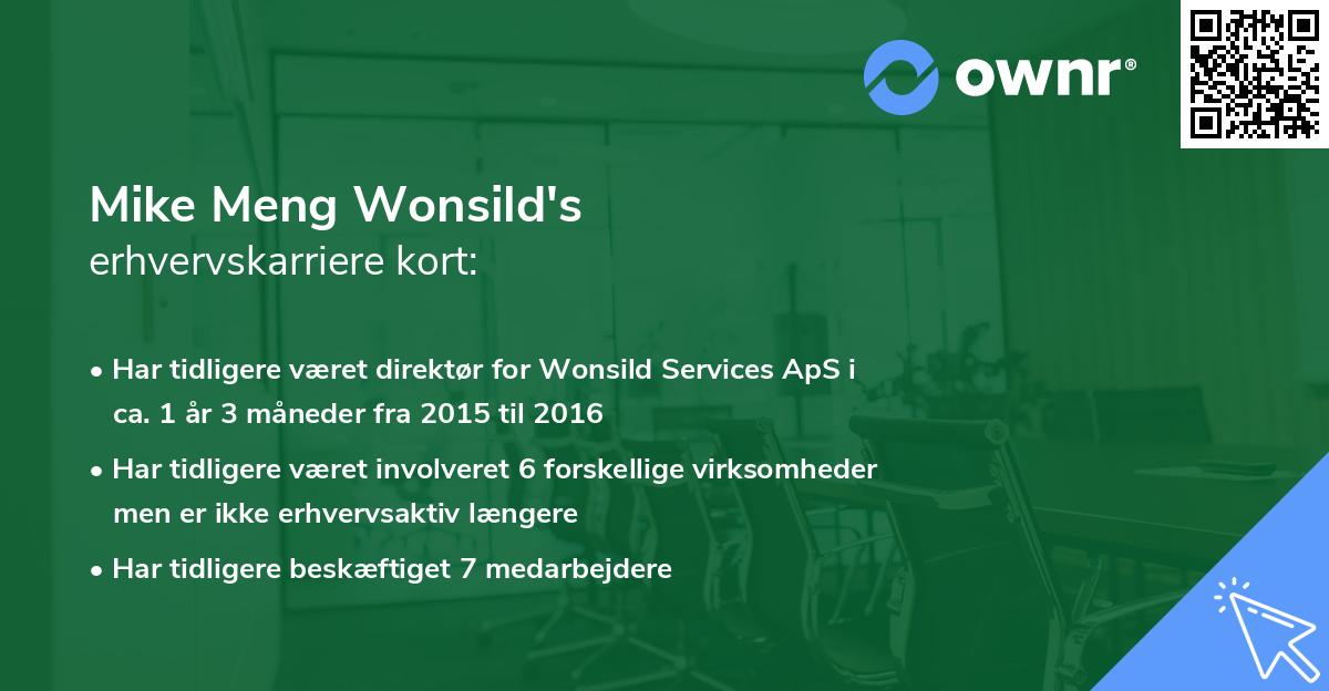 Mike Meng Wonsild's erhvervskarriere kort