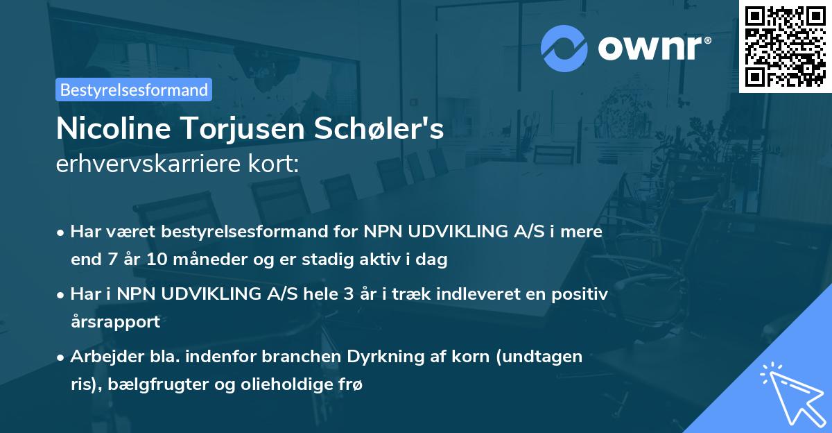 Nicoline Torjusen Schøler's erhvervskarriere kort