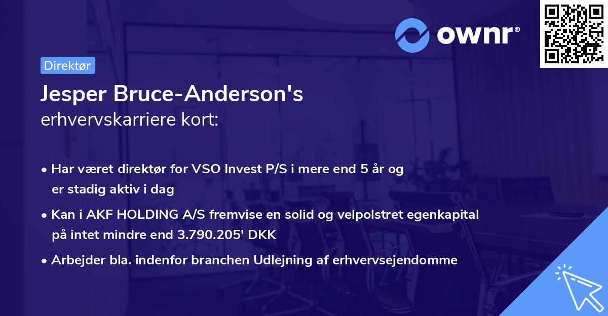 Jesper Bruce-Anderson's erhvervskarriere kort
