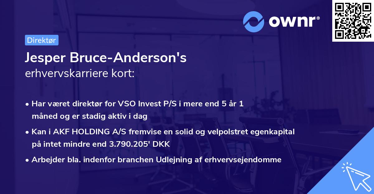 Jesper Bruce-Anderson's erhvervskarriere kort