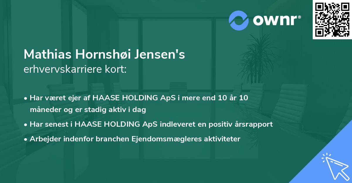 Mathias Hornshøi Jensen's erhvervskarriere kort