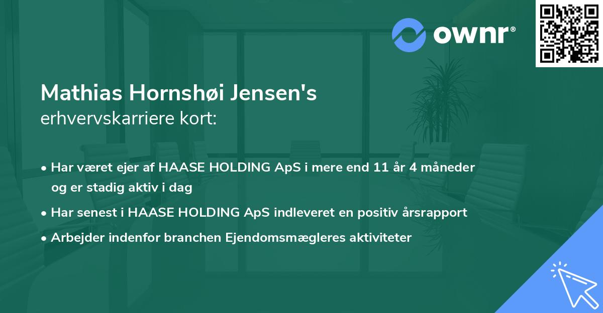 Mathias Hornshøi Jensen's erhvervskarriere kort