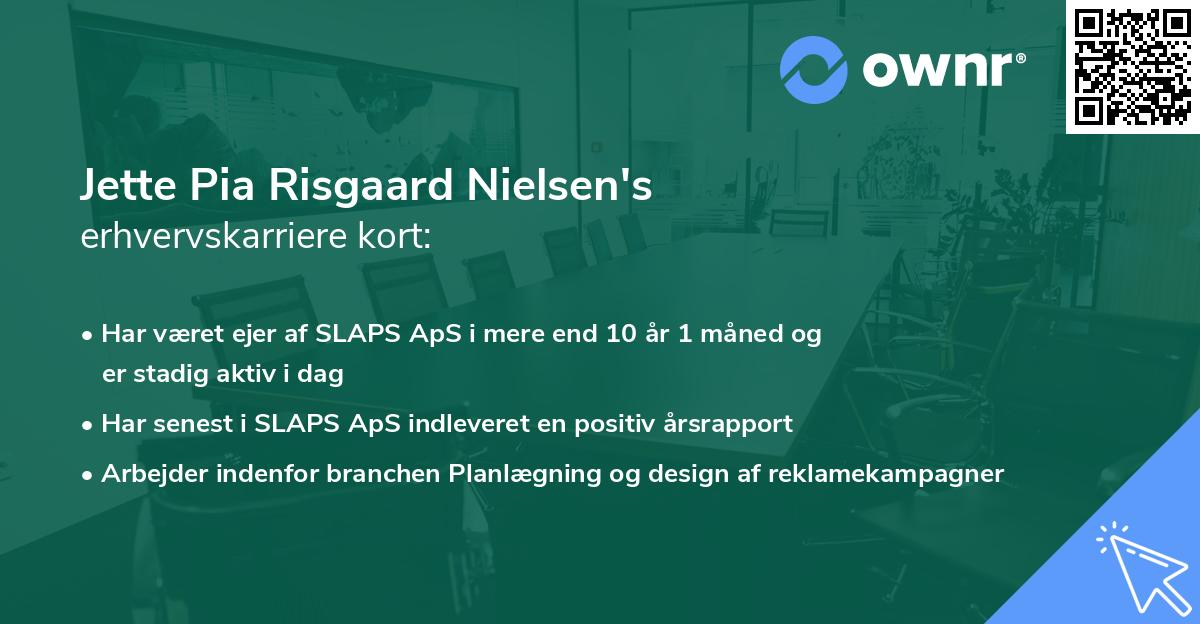 Jette Pia Risgaard Nielsen's erhvervskarriere kort
