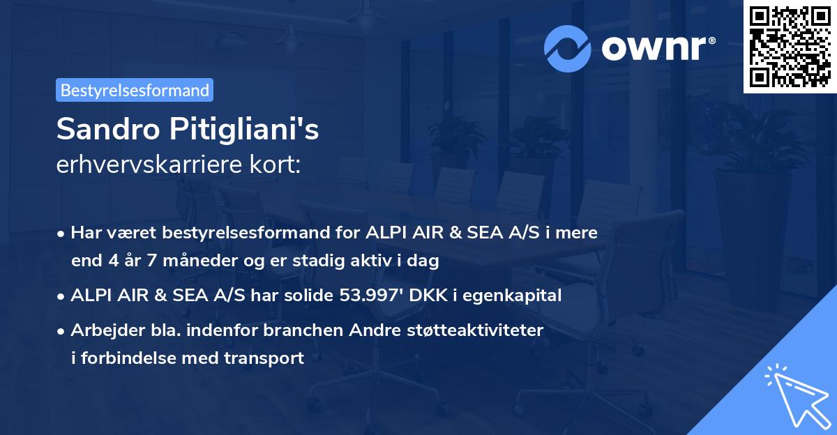 Sandro Pitigliani's erhvervskarriere kort