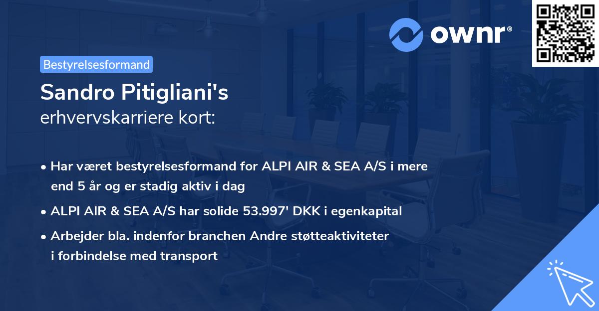 Sandro Pitigliani's erhvervskarriere kort
