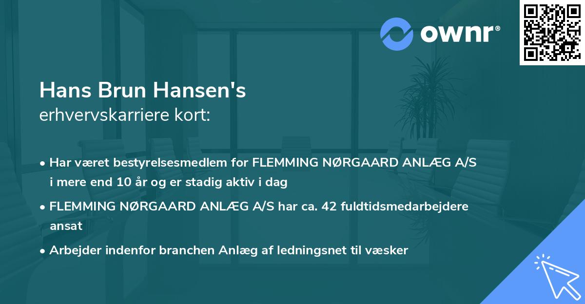 Hans Brun Hansen's erhvervskarriere kort
