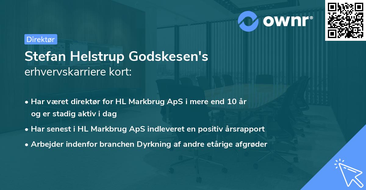 Stefan Helstrup Godskesen's erhvervskarriere kort