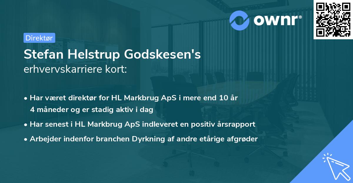 Stefan Helstrup Godskesen's erhvervskarriere kort